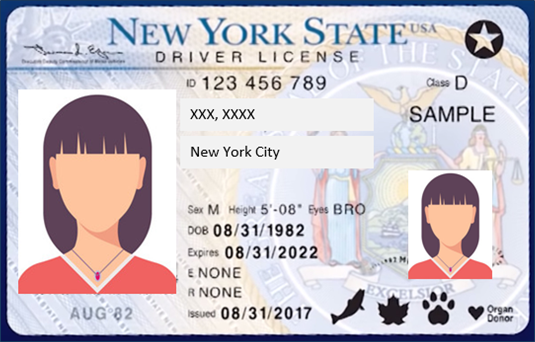 drivers_license_us.png